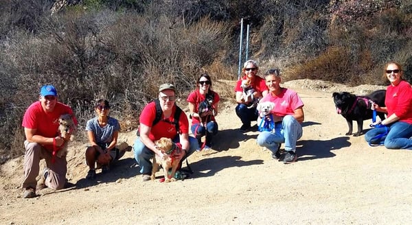 Burbank Animal Shelter